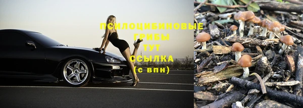 трава Алзамай