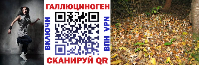 OMG ссылка  Шилка  Галлюциногенные грибы мицелий  закладка 